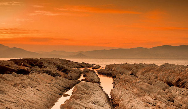 轰炸电话在线下单